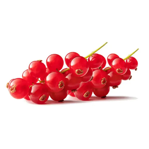 Red Currant 125g Netherlands